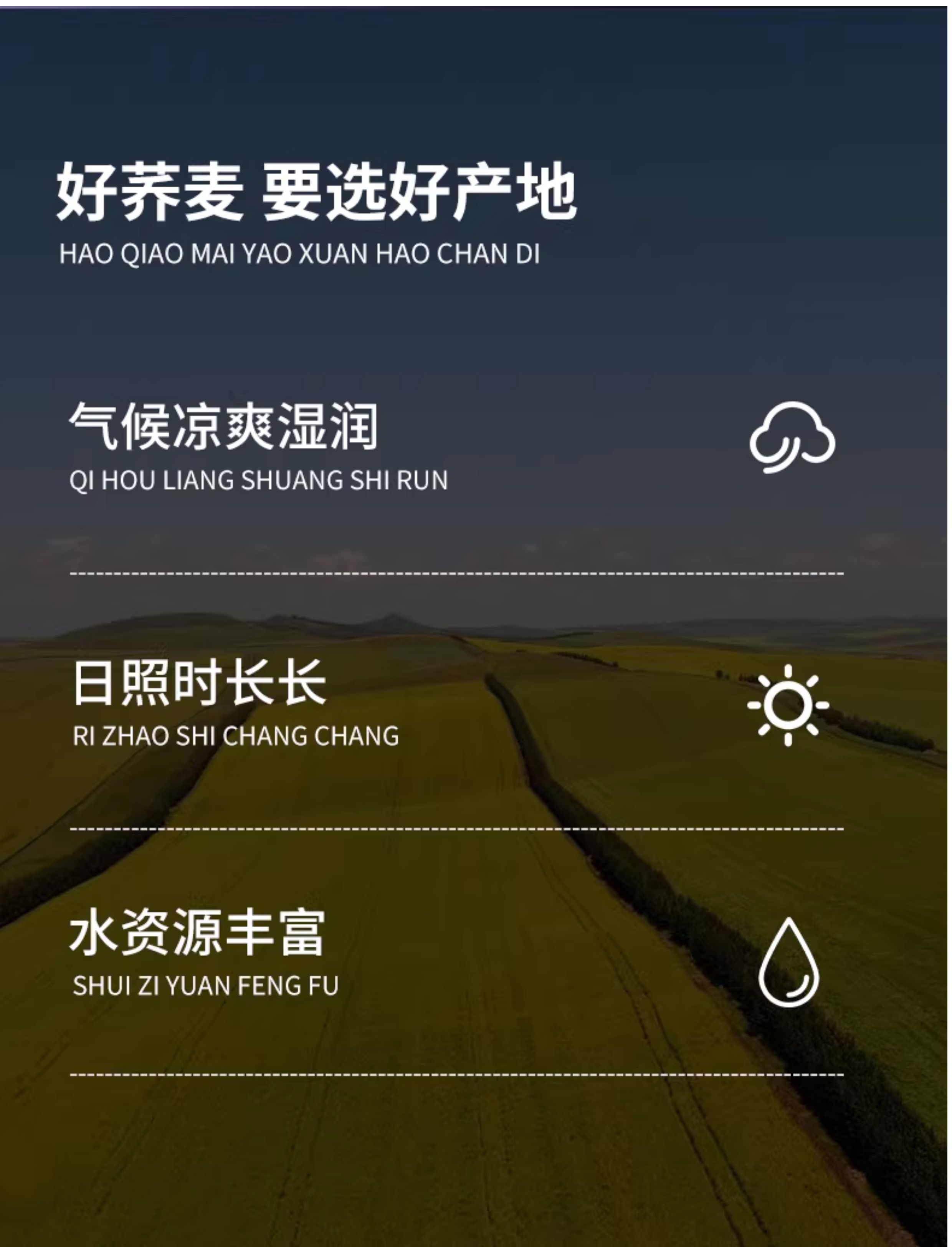 安享好物 安享A级荞麦面粉-邹有才荞麦粉 企标 