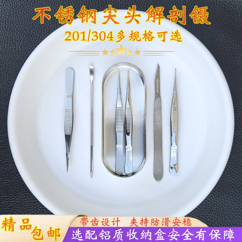 不锈钢304解剖尖头弯头加厚加硬镊子直头精细带齿防滑镊钳子夹子
