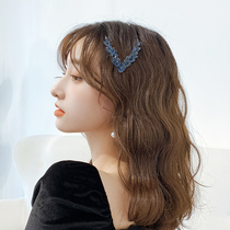 Hairclip back of the head hairpin female Korean retro top clip elegant imitation crystal frog buckle V-shaped side clip headgear