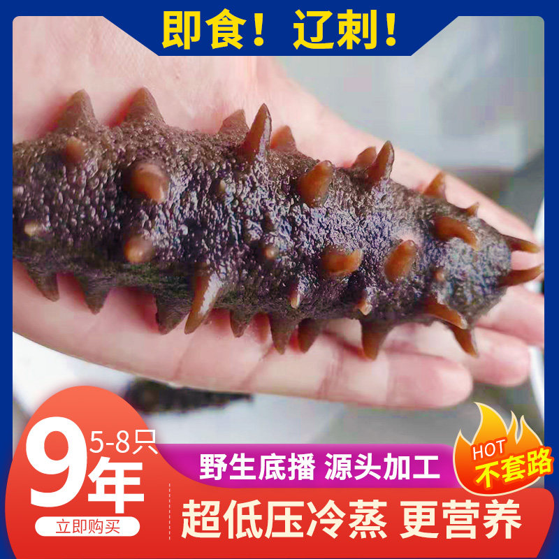 Fresh ready-to-eat sea cucumber thorn ginseng wild Long Island Liao ginseng 500g fresh seepage dried goods Dalian sea cucumber single pack gift box