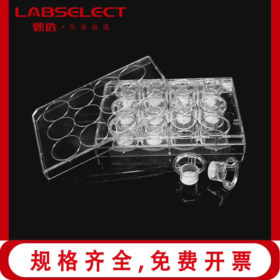 LABSELECT 甄选Transwell嵌套 PC/PET膜14211/14141/14212 包邮
