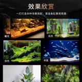 Аквариум, светодиодная лампочка, светильник, заполняющий свет, комфортный световой спектр
