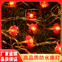 LED small lantern red lantern outdoor outdoor Spring Festival Chinese knot flashing light string light starry New Year decoration