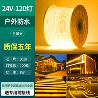 100 метров [24 В супер яркий 120 светло-золотистый] 10 разъемов в комплекте