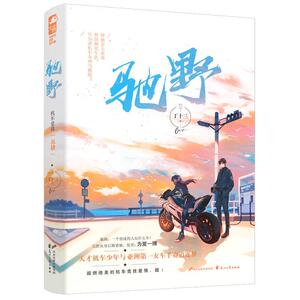 正版驰野 9787551151733 丁十三 花山文艺出版社 小说 书籍