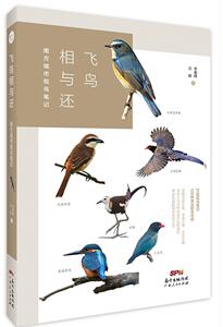 正版飞鸟相与还：南方城市观鸟笔记 9787218119076 曾毅锋 广东人民出版社 自然科学 书籍