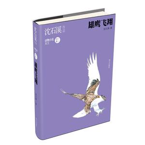 正版 沈石溪作品·雏鹰飞翔 沈石溪 书店 少儿书籍