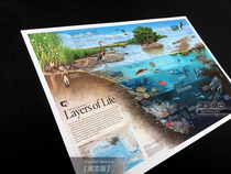 Natural Ecology Marine Primary and Secondary School Biology Science Teaching Chinese and English Wall Chart Poster Decorative Painting