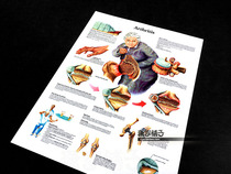 Elderly arthritis pain injury anatomical structure medical science education wall chart poster decorative painting