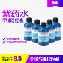 Home A Purple Solution (Longbile Purple) 20ml * 5 bottles of trauma thimerosal skin plucking and sanitizing purple potion