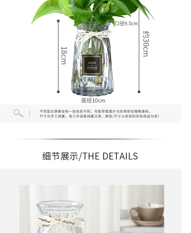 Sáng tạo châu Âu gradient thủy tinh bình thủy canh cây xanh lily lily sao bình hoa phòng khách cắm hoa - Vase / Bồn hoa & Kệ