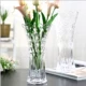 Bình trang trí hiện đại Châu Âu bình thủy tinh phòng khách trong suốt củ cải xanh thủy canh nhà máy phong phú bình tre - Vase / Bồn hoa & Kệ