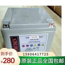 Sorensen Battery SGL12-24 12V24AH Original Warranty Three Years