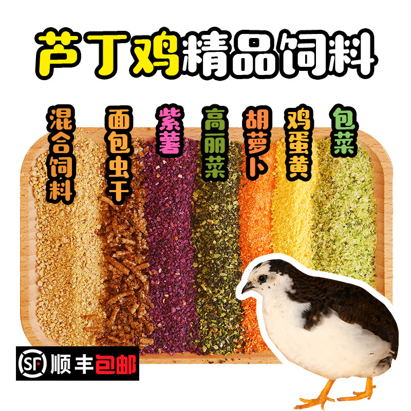 Food for chicken chicken feed for quail - made chicken blue breast for chicken under chicken