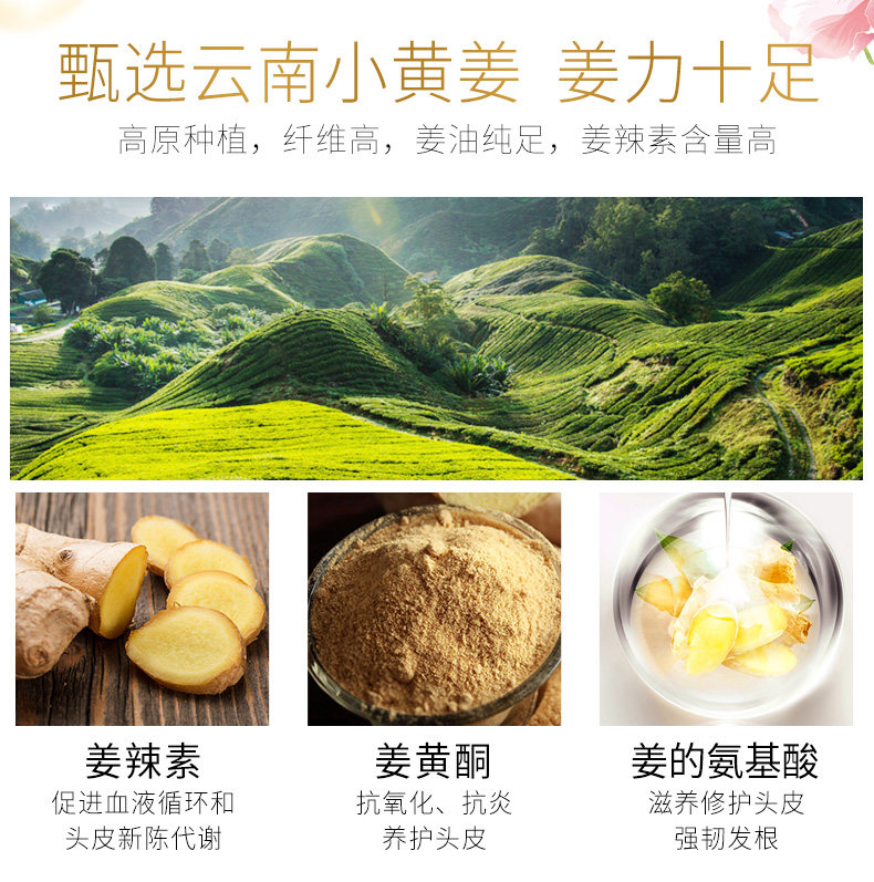 清怡 生姜去屑洗发水 200g 图2