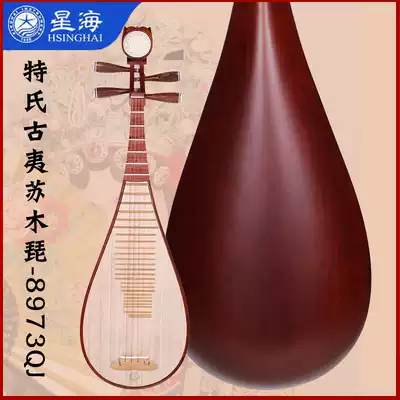 Special ancient Yi Sumu pipa Beijing Xinghai musical instrument new professional examination 8973QJ factory direct sales