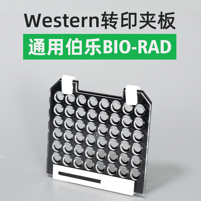 天能伯乐bio-rad电泳配件转 三明治转移夹wb电转夹电泳槽六一君意