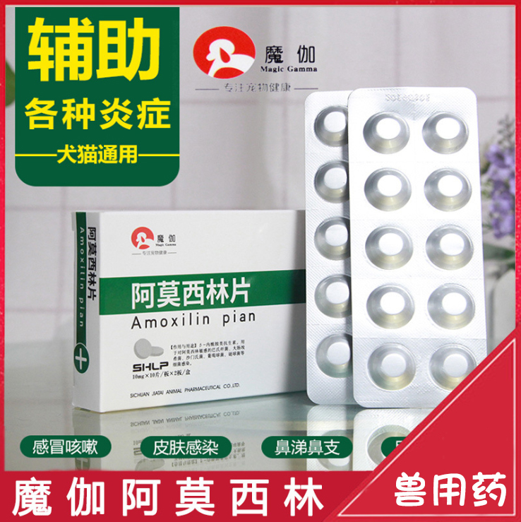 Amoxicillin tablets dog cat cold medicine cough cough urinary tract infection pneumonia pet wound anti-inflammatory medicine