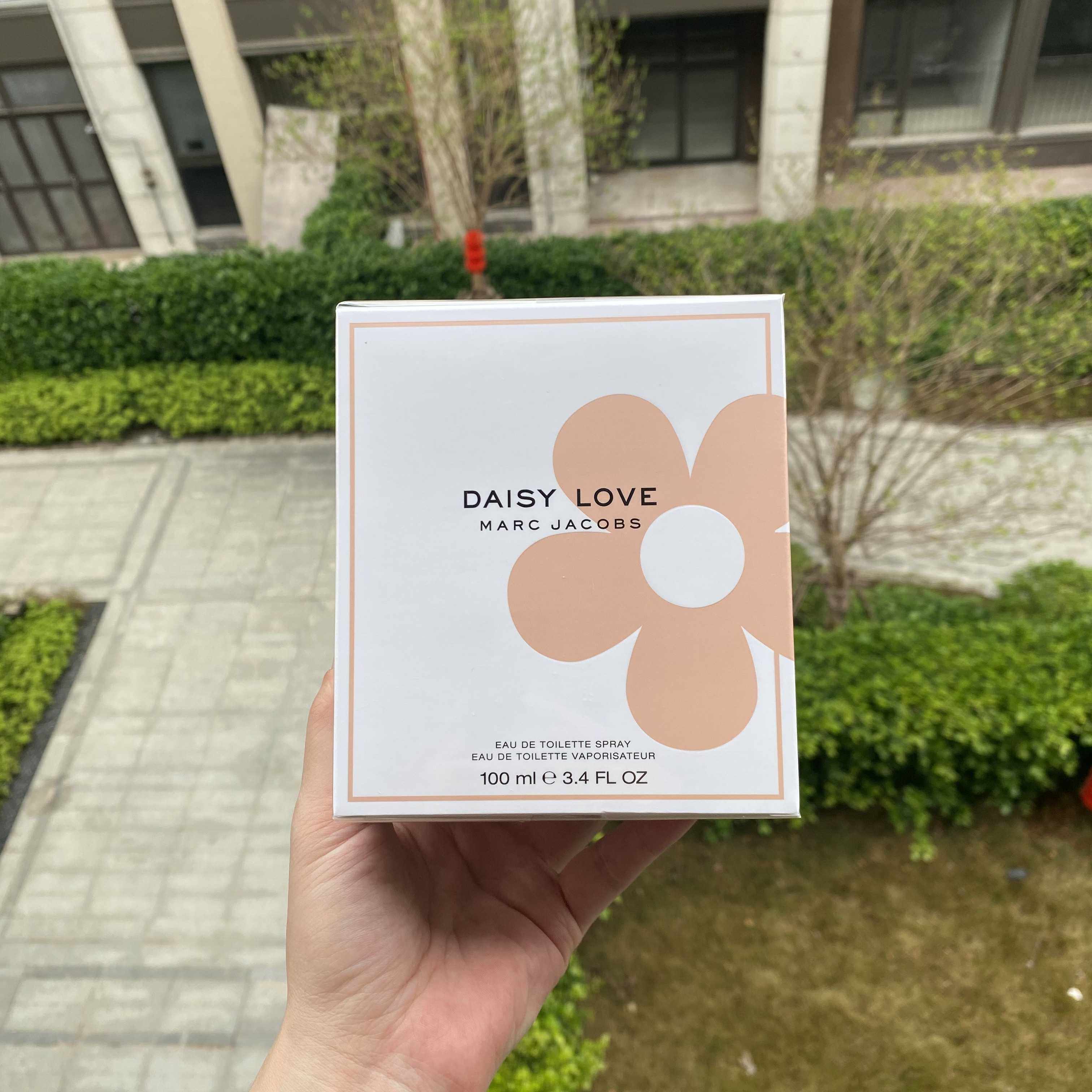 Take Chinese Peuedt Chrysanthemum Beloved Lady Light Scented scented with 100ml date 23 years later