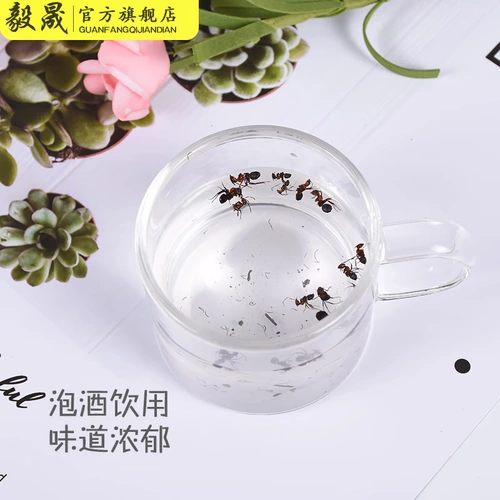 Стреляйте 1 выстрел 3) Ишенг -Чанбай Маунья Дикий Черный Муравей Модели черного цвета черный муравей черный муравей сухой пузырьный вино черный муравей