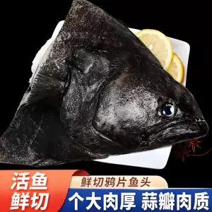 Блюдо из головы рыбы, свежемороженая очень большая голова камбалы, очень большая голова глубоководной гренландской рыбы, опийная рыба, блюдо из рыбы