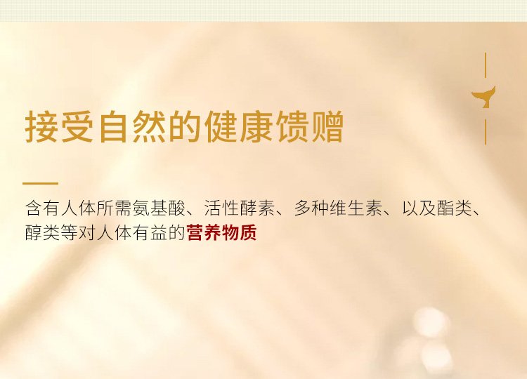 食圣 黄小鲜纯生酱油1瓶 图7