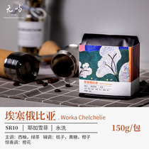 No Islands Coffee Ethiopia Washed with Workaworka Boutique Coffee Bean Hand Sprint 150g