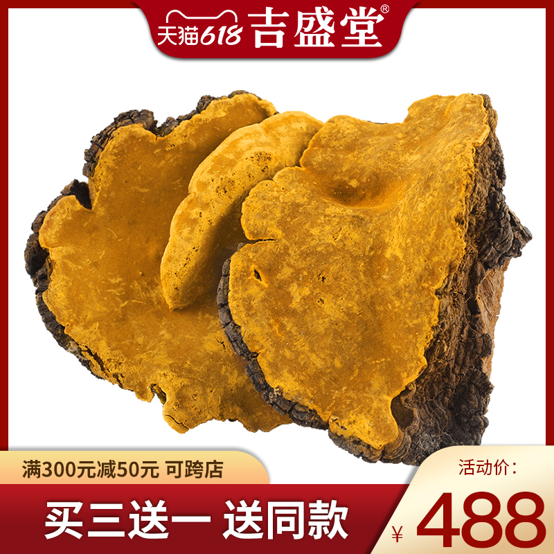 Ji Shengtang Mulberry Tree Mulberry Yellow Tibetan Mulberry Tree Mulberry Yellow Whole Branches Pore Fungus Wild Growth Samhuang Lingzhi 250g