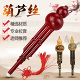 Универсальные базовые музыкальные инструменты для школьников для взрослых для начинающих