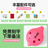 Пластиковые музыкальные инструменты для начинающих для школьников для взрослых