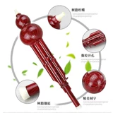 Универсальные базовые музыкальные инструменты для школьников для взрослых для начинающих