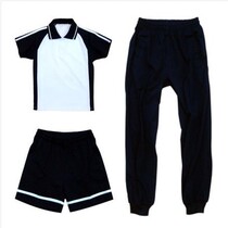 Zhenhua Primary School uniforms Shunde District Ronggui Primary School Pupils Summer clothes long short sleeve blouses Autumn Clothes Sportswear School Uniform