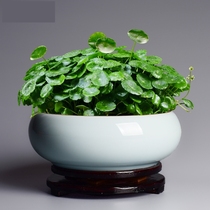 Water lotus flower pot bowls bacon plant containers suitable for raising copper-money grass 2021 new types of sleeping deep lotus small cylinders fish