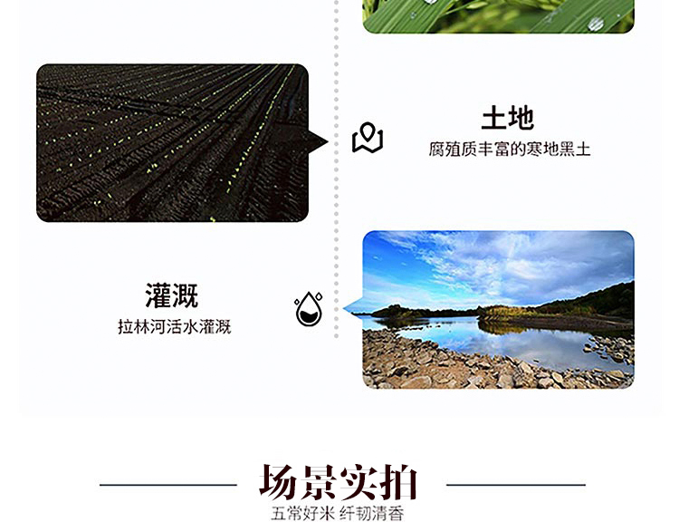 新米上市 中粮福临门 雪国冰姬 五常大米 10斤 图6