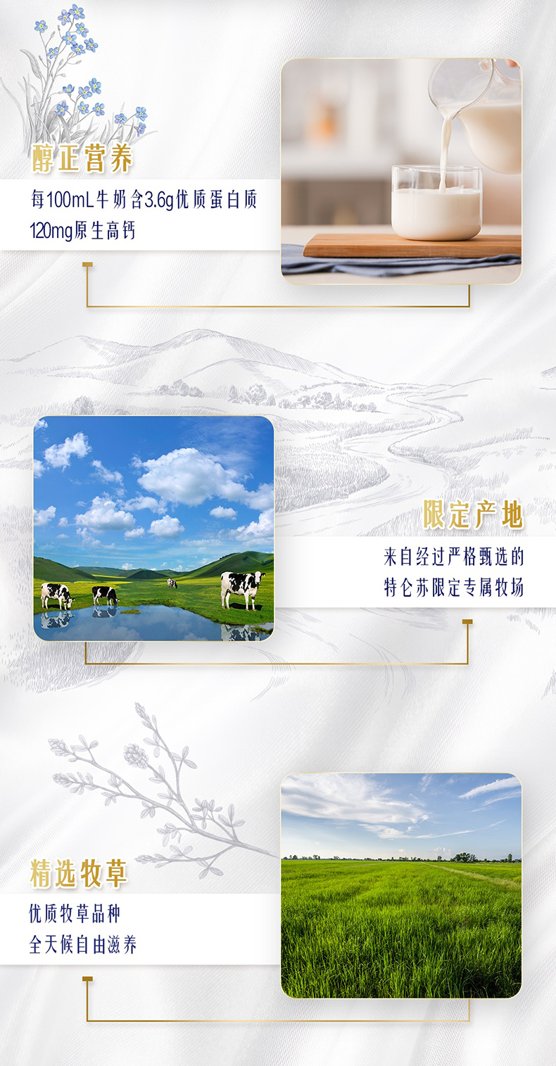 蒙牛 特仑苏 高端纯牛奶 250ml*12盒*2箱 图3