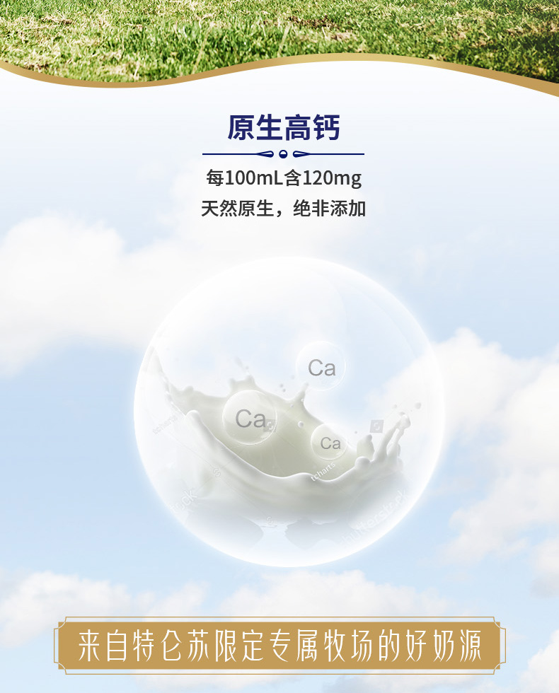 蒙牛特仑苏纯牛奶2箱250ml*32包