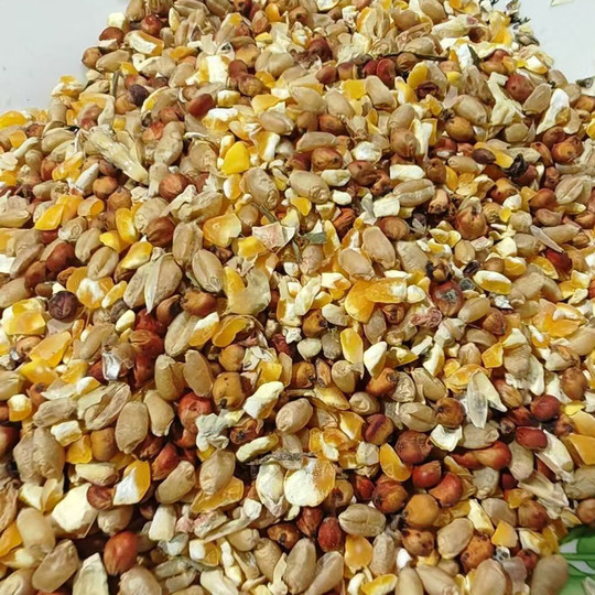 Mixed with sorghum, wheat, corn and crushed chicken residue