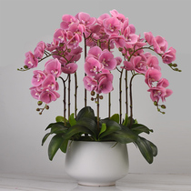 Phalaenopsis artificial flower high-end feel orchid display flower living room dining table entrance wedding decoration floral ornaments