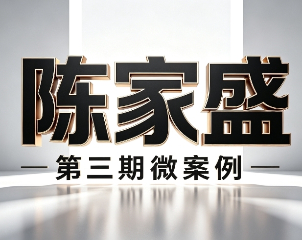 Chen Jiaseng's Third Micro-Case Study
