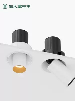 Mr. Cactus retractable adjustable angle recessed installation spotlight without main lamp lighting fixture simple and modern