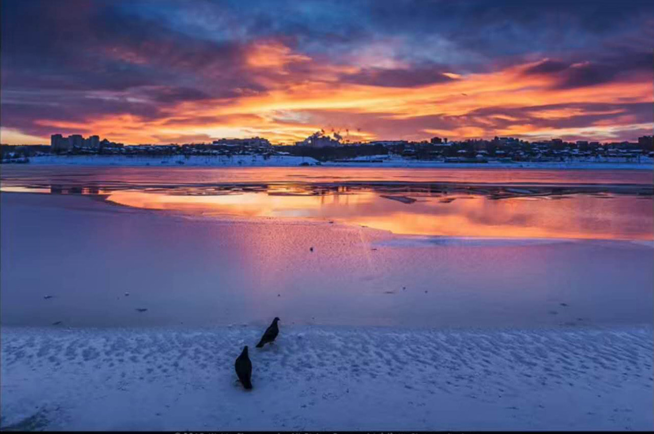 【L02】自由职业摄影师 Plus 价值3298元