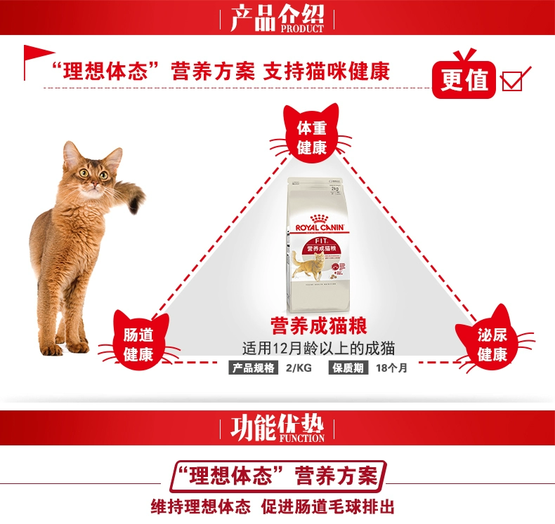 Gói tiếp nhiên liệu dinh dưỡng cho mèo - Cat / Dog Beauty & Cleaning Supplies