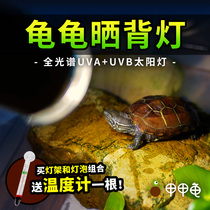Turtle Sun Back Lamp Heating Insulation Lamp Uva Uvb Sun Light Climbing Darling Heating Tortoise Vat Light Insulated Calcium Supplement