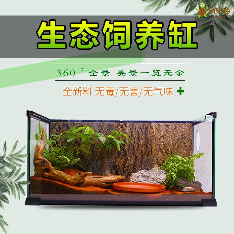 (Armor Turtle) glass turtle, hair color rainforest landscape, water and land tank Villa large climbing pet ecological breeding box