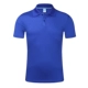 1833 Royal Blue