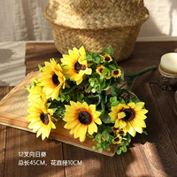 12 галстуков -бухты подсолнуха 1 куча