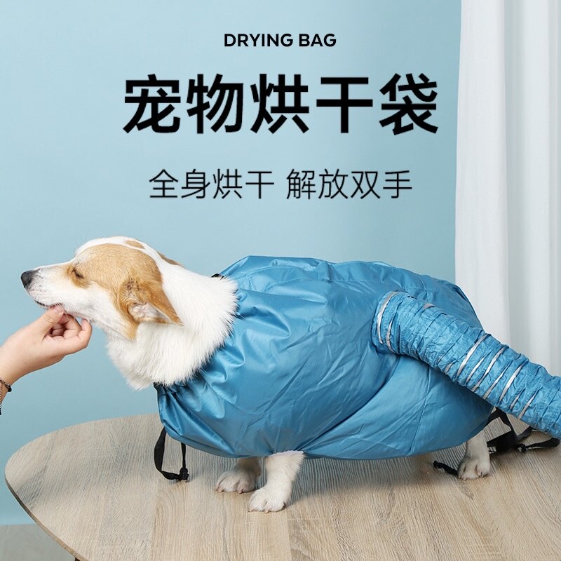 Pet Drying Bag Cat Small Pooch Blow-drying God Instrumental Home Automatic Blow Water Machine Kitty Bath Blowdryer Drying box