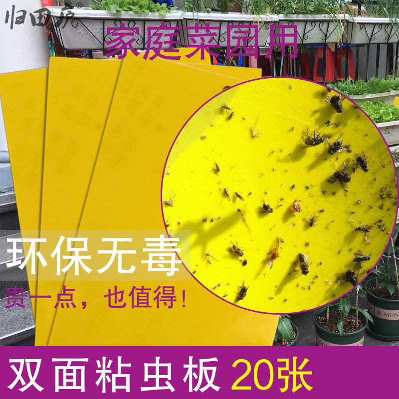 Return to Tianlu small black fly sticky insect board household yellow board double-sided lure board fruit fly sticky board gardening insect-proof sheet balcony