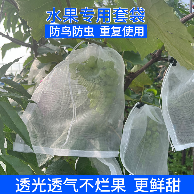 水果套袋大揭秘：金煌芒果、莲雾、释迦、枇杷的保护神！