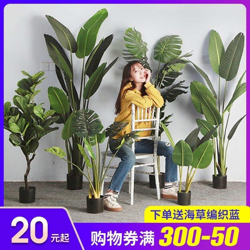 Bird of paradise Nordic simulation plant traveler banana fake green plant potted large living room furnishings interior decoration turtle back leaves